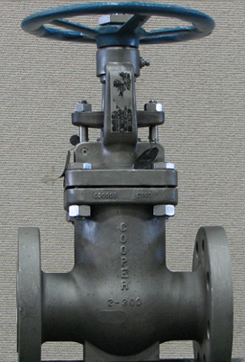 Cooper-Gate-2-Valve