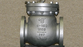 DSI-Swing-Check-Valve